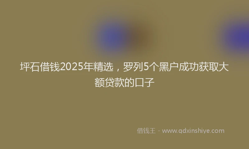 坪石借钱2025年精选，罗列5个黑户成功获取大额贷款的口子