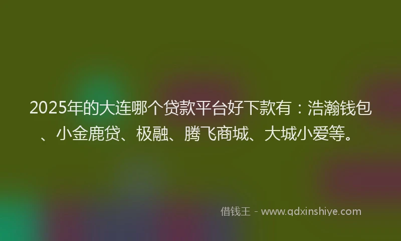 2025年的大连哪个贷款平台好下款有：浩瀚钱包、小金鹿贷、极融、腾飞商城、大城小爱等。