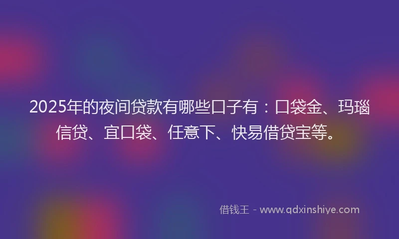 2025年的夜间贷款有哪些口子有：口袋金、玛瑙信贷、宜口袋、任意下、快易借贷宝等。