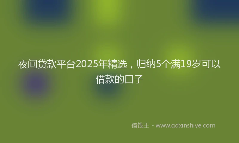夜间贷款平台2025年精选，归纳5个满19岁可以借款的口子