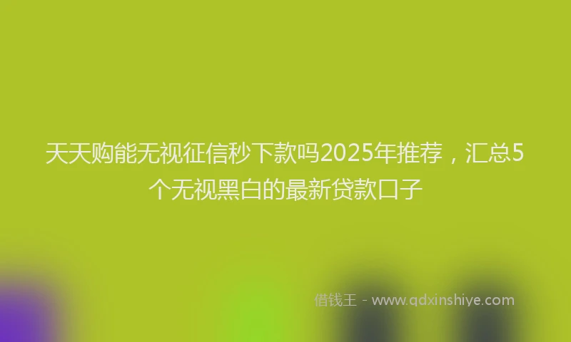 天天购能无视征信秒下款吗2025年推荐，汇总5个无视黑白的最新贷款口子