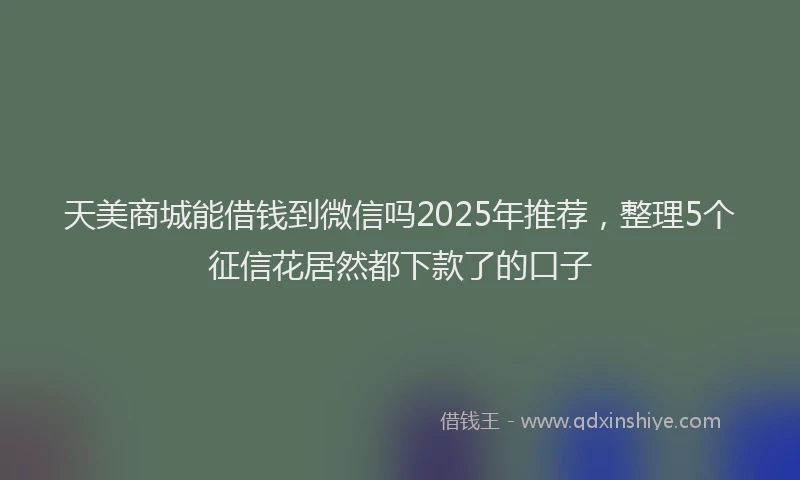 天美商城能借钱到微信吗2025年推荐，整理5个征信花居然都下款了的口子