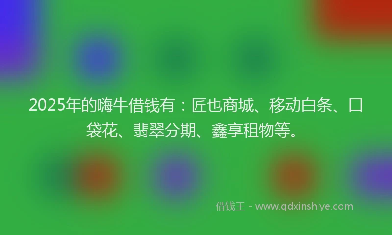 2025年的嗨牛借钱有：匠也商城、移动白条、口袋花、翡翠分期、鑫享租物等。