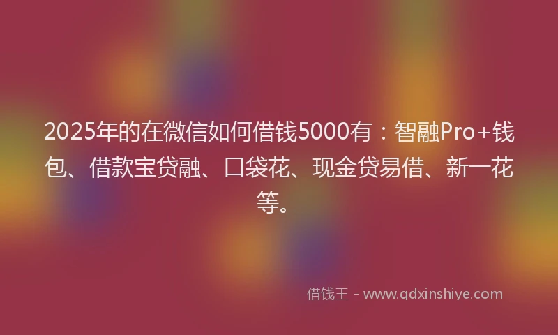 2025年的在微信如何借钱5000有：智融Pro+钱包、借款宝贷融、口袋花、现金贷易借、新一花等。