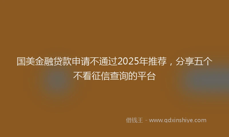 国美金融贷款申请不通过2025年推荐，分享五个不看征信查询的平台