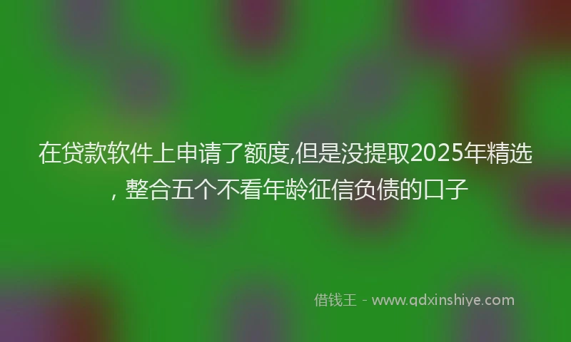在贷款软件上申请了额度,但是没提取2025年精选，整合五个不看年龄征信负债的口子