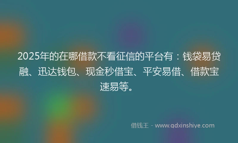 2025年的在哪借款不看征信的平台有：钱袋易贷融、迅达钱包、现金秒借宝、平安易借、借款宝速易等。