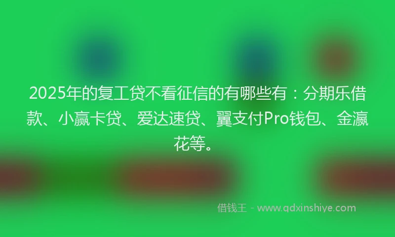 2025年的复工贷不看征信的有哪些有：分期乐借款、小赢卡贷、爱达速贷、翼支付Pro钱包、金瀛花等。