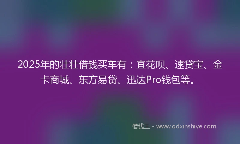 2025年的壮壮借钱买车有：宜花呗、速贷宝、金卡商城、东方易贷、迅达Pro钱包等。