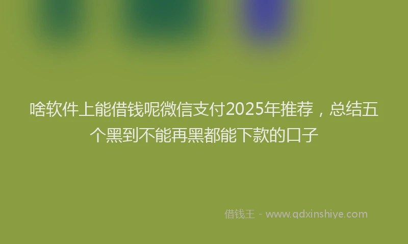 啥软件上能借钱呢微信支付2025年推荐，总结五个黑到不能再黑都能下款的口子