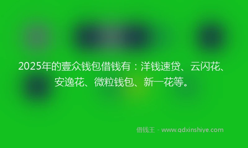 2025年的壹众钱包借钱有：洋钱速贷、云闪花、安逸花、微粒钱包、新一花等。
