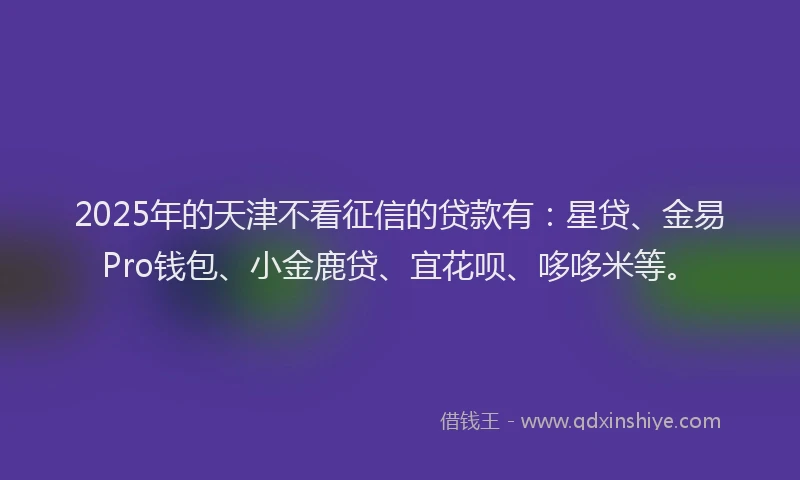2025年的天津不看征信的贷款有：星贷、金易Pro钱包、小金鹿贷、宜花呗、哆哆米等。