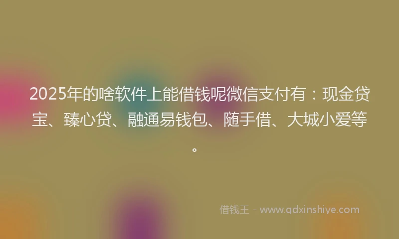 2025年的啥软件上能借钱呢微信支付有：现金贷宝、臻心贷、融通易钱包、随手借、大城小爱等。