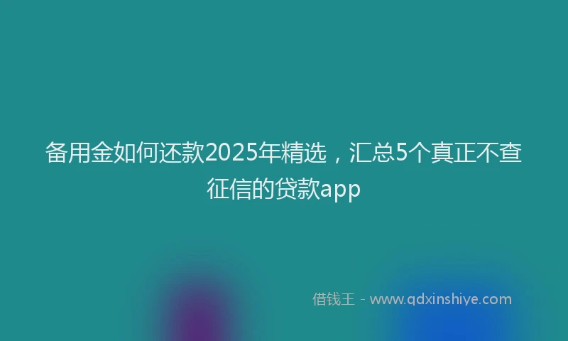 备用金如何还款2025年精选，汇总5个真正不查征信的贷款app
