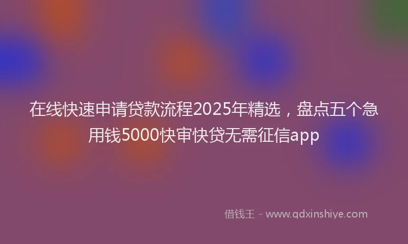 在线快速申请贷款流程2025年精选，盘点五个急用钱5000快审快贷无需征信app