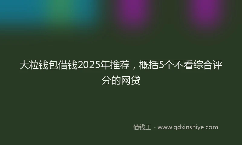 大粒钱包借钱2025年推荐，概括5个不看综合评分的网贷