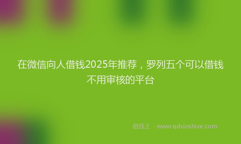 在微信向人借钱2025年推荐，罗列五个可以借钱不用审核的平台