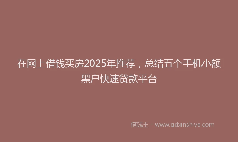 在网上借钱买房2025年推荐，总结五个手机小额黑户快速贷款平台