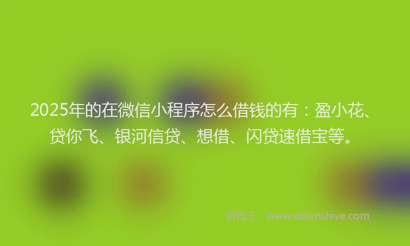 2025年的在微信小程序怎么借钱的有：盈小花、贷你飞、银河信贷、想借、闪贷速借宝等。