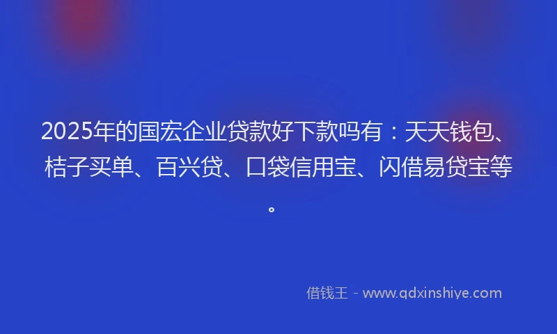 2025年的国宏企业贷款好下款吗有：天天钱包、桔子买单、百兴贷、口袋信用宝、闪借易贷宝等。