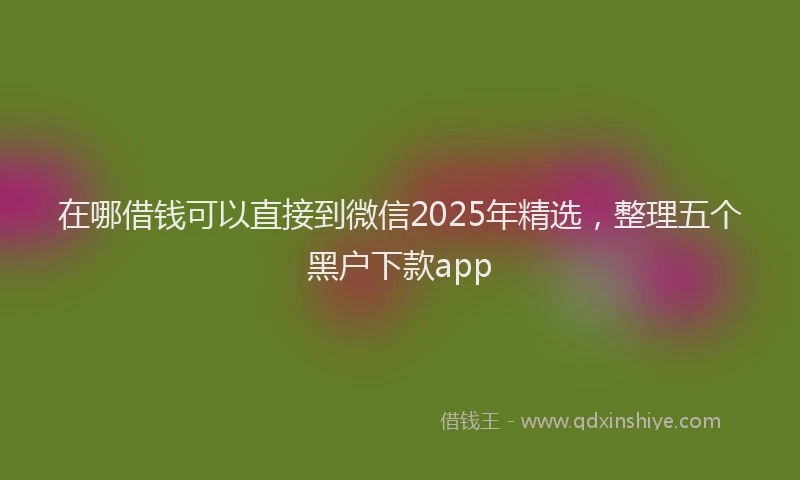 在哪借钱可以直接到微信2025年精选，整理五个黑户下款app