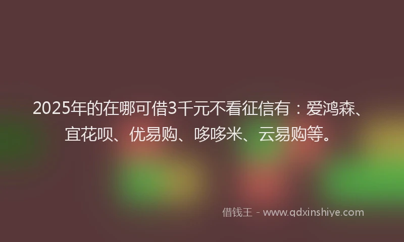 2025年的在哪可借3千元不看征信有：爱鸿森、宜花呗、优易购、哆哆米、云易购等。