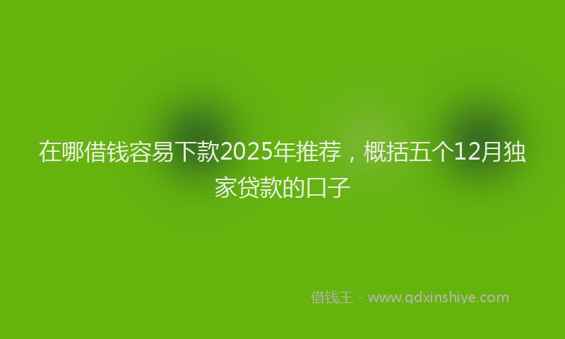 在哪借钱容易下款2025年推荐，概括五个12月独家贷款的口子