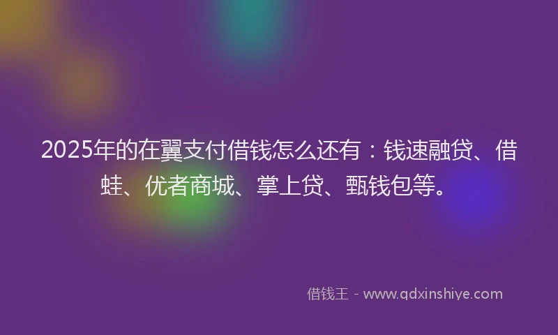2025年的在翼支付借钱怎么还有：钱速融贷、借蛙、优者商城、掌上贷、甄钱包等。