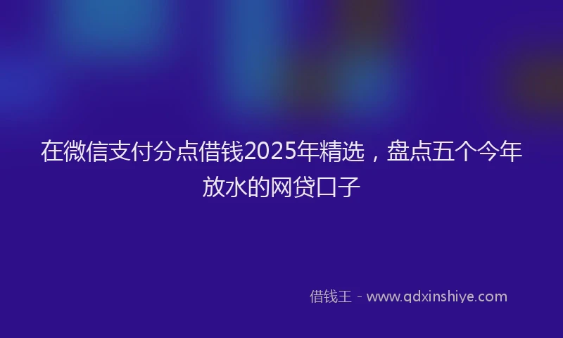 在微信支付分点借钱2025年精选，盘点五个今年放水的网贷口子