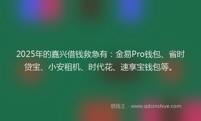 2025年的嘉兴借钱救急有：金易Pro钱包、省时贷宝、小安租机、时代花、速享宝钱包等。