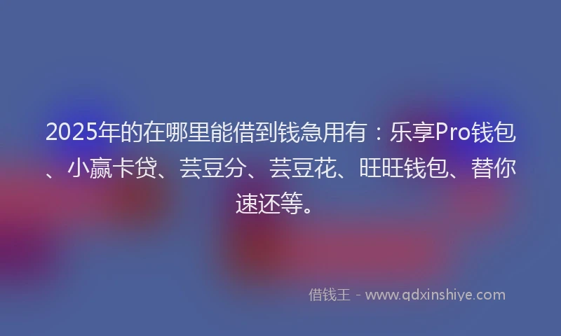 2025年的在哪里能借到钱急用有：乐享Pro钱包、小赢卡贷、芸豆分、芸豆花、旺旺钱包、替你速还等。