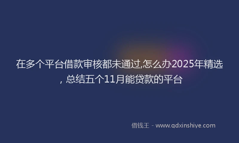 在多个平台借款审核都未通过,怎么办2025年精选，总结五个11月能贷款的平台