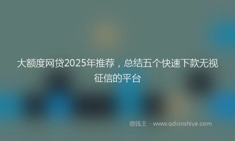 大额度网贷2025年推荐，总结五个快速下款无视征信的平台
