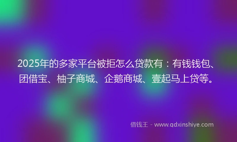 2025年的多家平台被拒怎么贷款有：有钱钱包、团借宝、柚子商城、企鹅商城、壹起马上贷等。