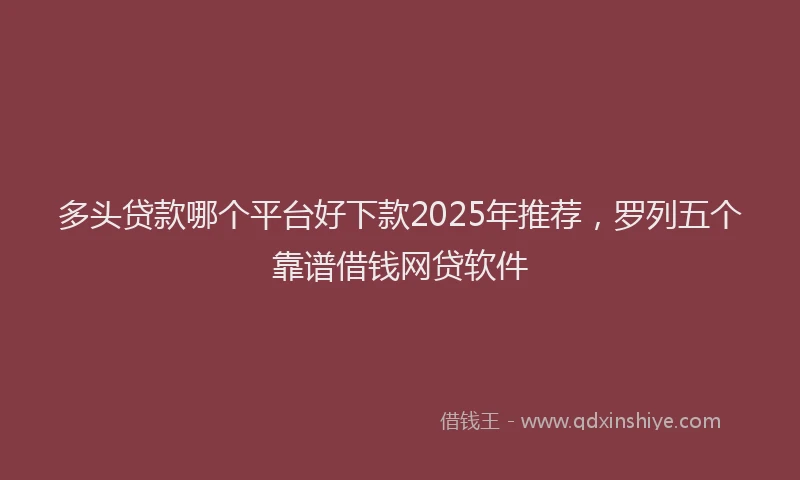 多头贷款哪个平台好下款2025年推荐，罗列五个靠谱借钱网贷软件