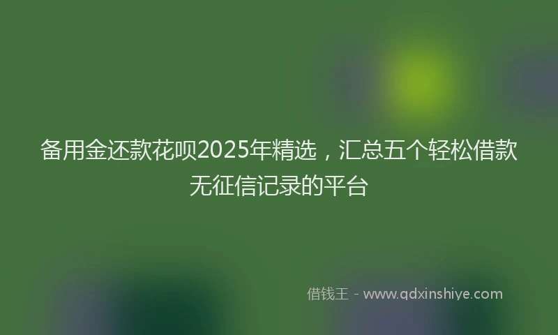 备用金还款花呗2025年精选，汇总五个轻松借款无征信记录的平台
