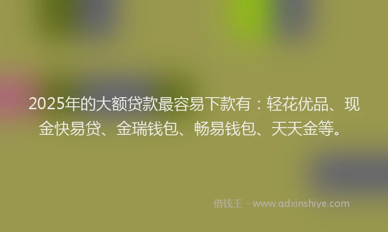 2025年的大额贷款最容易下款有：轻花优品、现金快易贷、金瑞钱包、畅易钱包、天天金等。