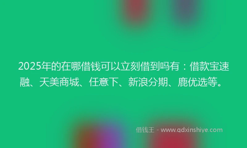 2025年的在哪借钱可以立刻借到吗有：借款宝速融、天美商城、任意下、新浪分期、鹿优选等。