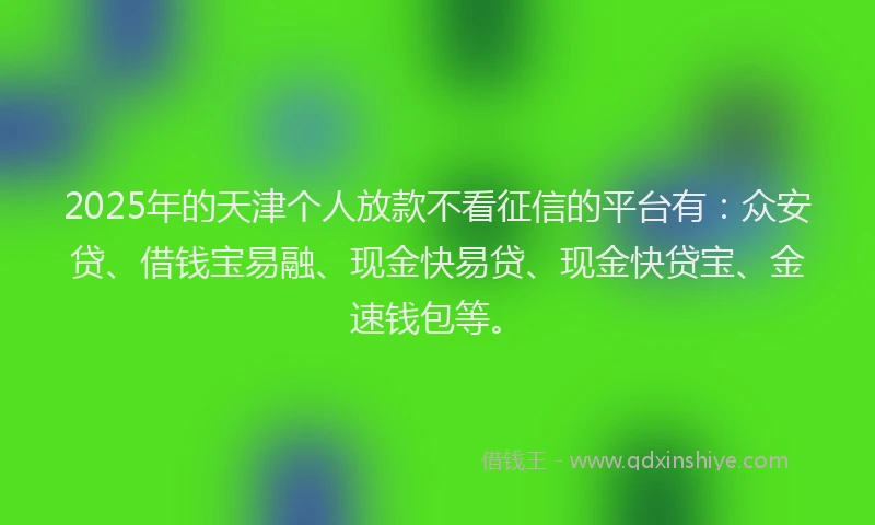 2025年的天津个人放款不看征信的平台有：众安贷、借钱宝易融、现金快易贷、现金快贷宝、金速钱包等。