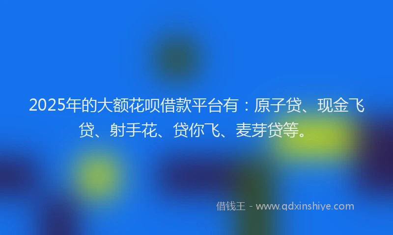 2025年的大额花呗借款平台有：原子贷、现金飞贷、射手花、贷你飞、麦芽贷等。
