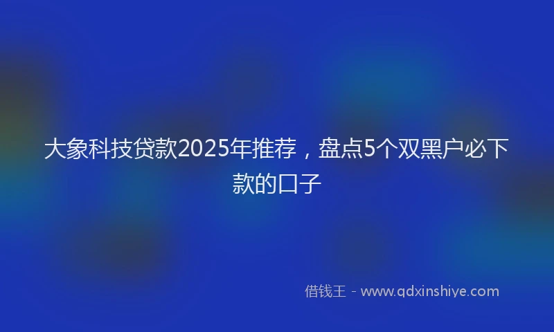 大象科技贷款2025年推荐，盘点5个双黑户必下款的口子