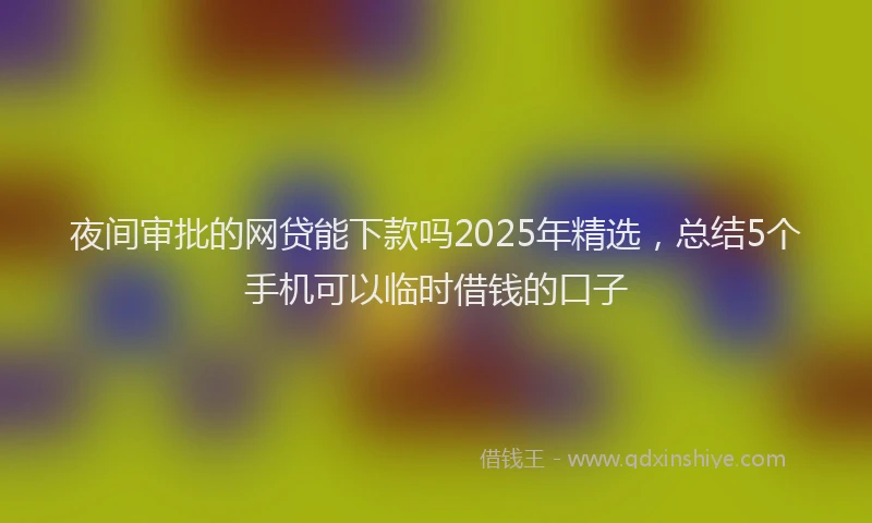 夜间审批的网贷能下款吗2025年精选，总结5个手机可以临时借钱的口子
