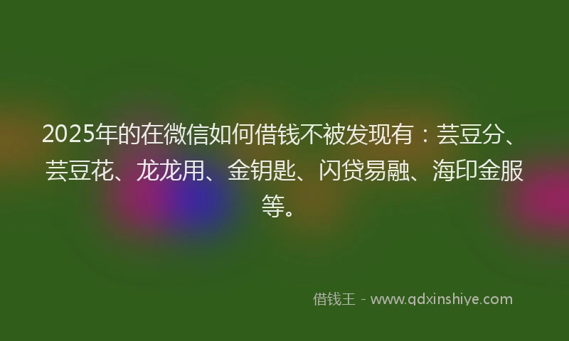 2025年的在微信如何借钱不被发现有:芸豆分、芸豆花、龙龙用、金钥匙、闪贷易融、海印金服等。