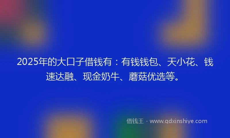2025年的大口子借钱有：有钱钱包、天小花、钱速达融、现金奶牛、蘑菇优选等。