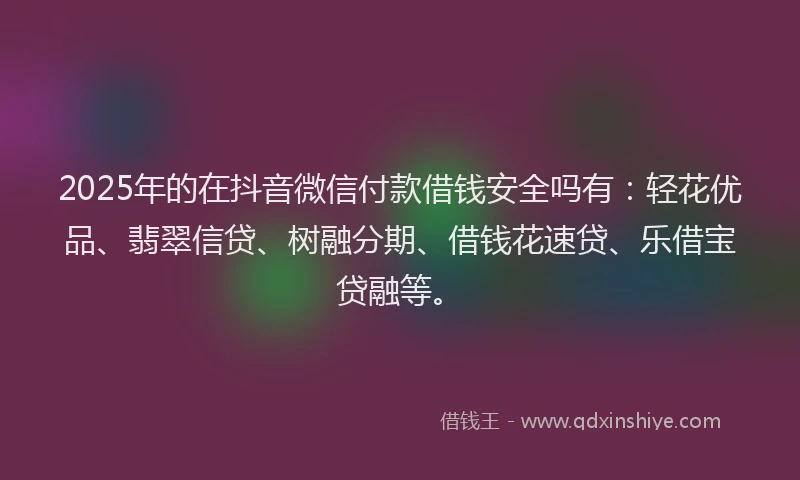 2025年的在抖音微信付款借钱安全吗有：轻花优品、翡翠信贷、树融分期、借钱花速贷、乐借宝贷融等。