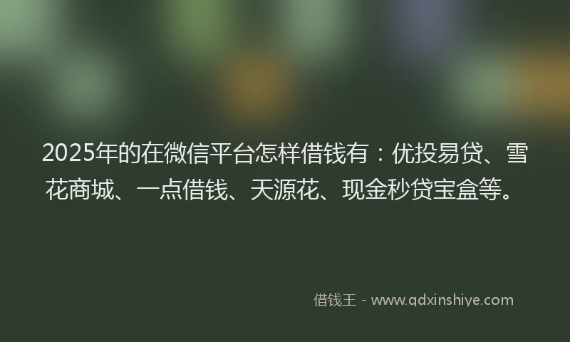 2025年的在微信平台怎样借钱有：优投易贷、雪花商城、一点借钱、天源花、现金秒贷宝盒等。