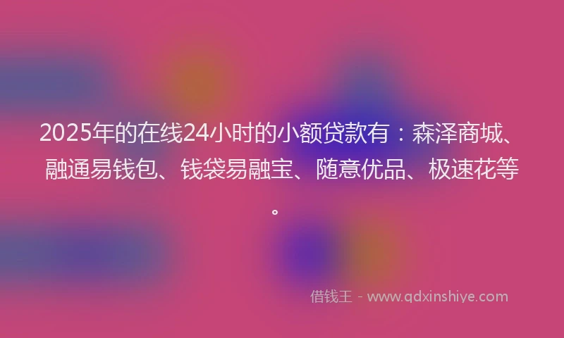 2025年的在线24小时的小额贷款有：森泽商城、融通易钱包、钱袋易融宝、随意优品、极速花等。