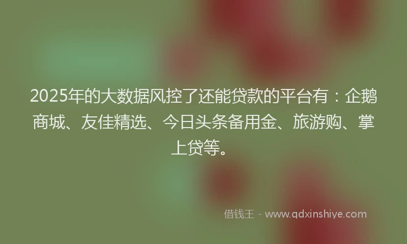 2025年的大数据风控了还能贷款的平台有：企鹅商城、友佳精选、今日头条备用金、旅游购、掌上贷等。