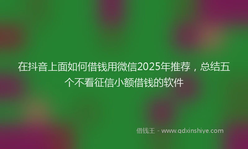在抖音上面如何借钱用微信2025年推荐，总结五个不看征信小额借钱的软件