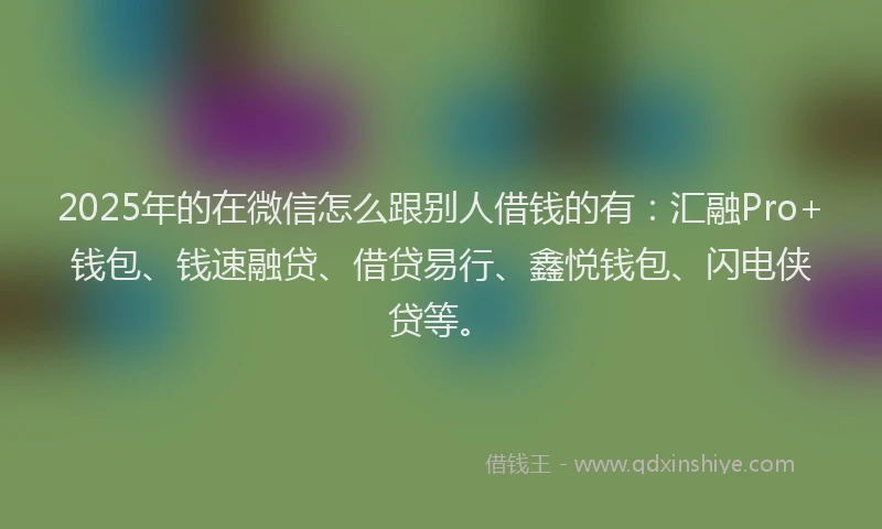 2025年的在微信怎么跟别人借钱的有：汇融Pro+钱包、钱速融贷、借贷易行、鑫悦钱包、闪电侠贷等。